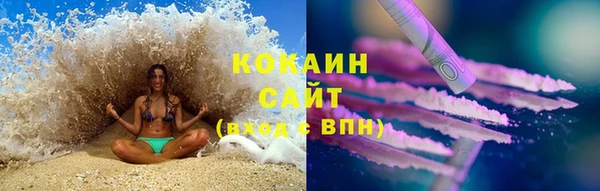 соль ск Кулебаки
