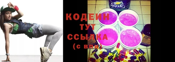 гидра Корсаков