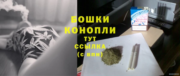 сатива Краснотурьинск