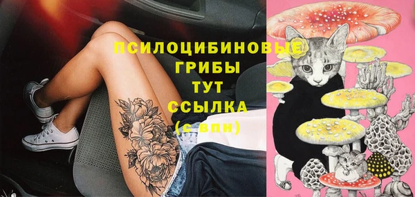 эйфоретик Краснослободск