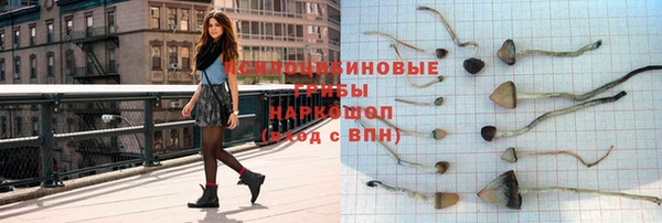 соль ск Кулебаки