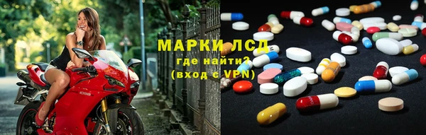 сатива Краснотурьинск