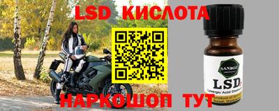 молекула духа Донецк