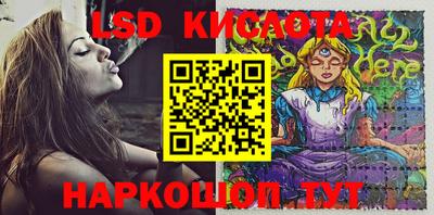 молекула духа Донецк