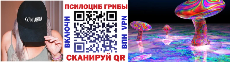 купить наркоту  Михайловка  кракен рабочий сайт  Галлюциногенные грибы прущие грибы 