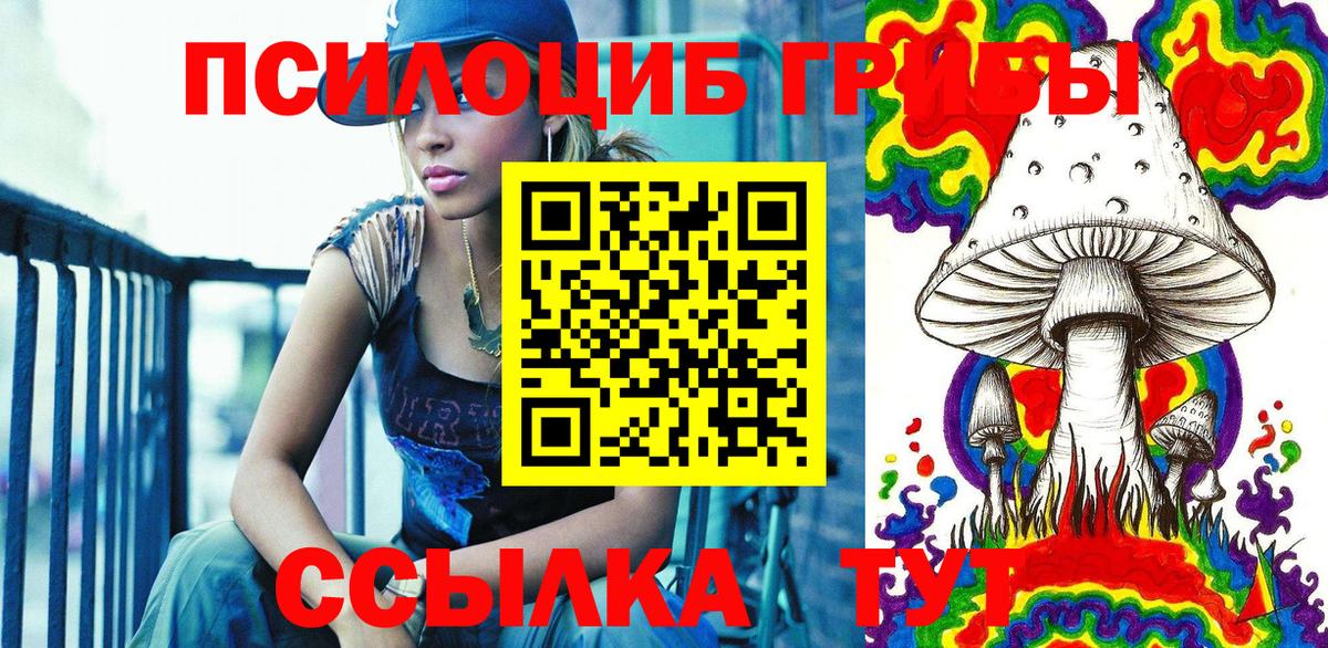 Михайловка  Псилоцибиновые грибы прущие грибы  Вход с VPN 