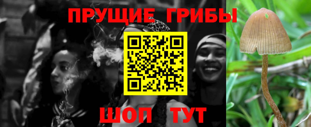 Галлюциногенные грибы MAGIC MUSHROOMS Михайловка